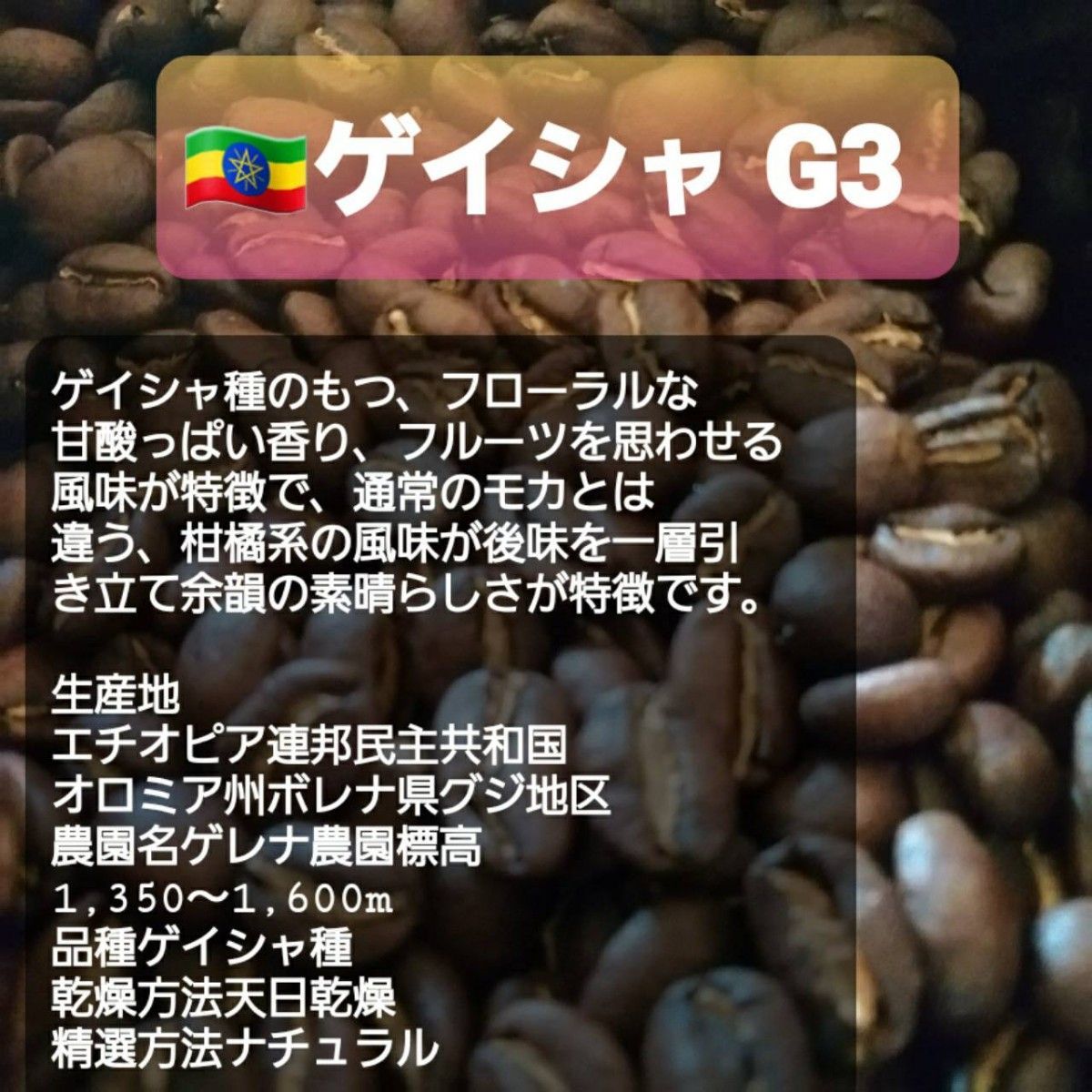 ①自家焙煎屋　珈琲豆　Coffee　おまかせ２種類から4種類セット　500g
