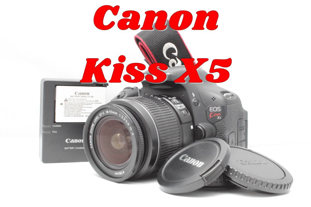 Canon EOS KISS X5 　標準ズームキット EF-S18-55mm IS 2 キヤノン　キャノン　一眼レフ　キスシリーズ　イベント　旅行　運動会_画像1