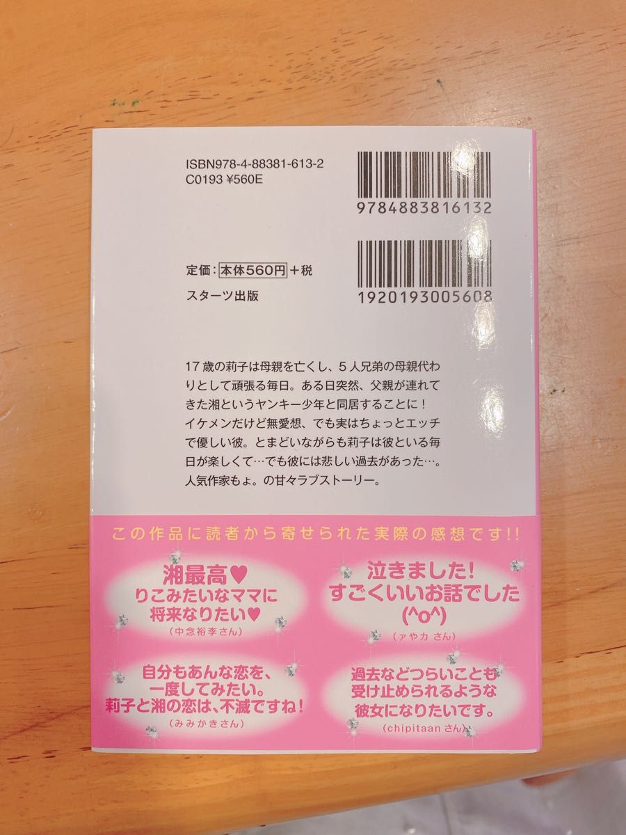 ケータイ小説  同居人はヤンキー君！？