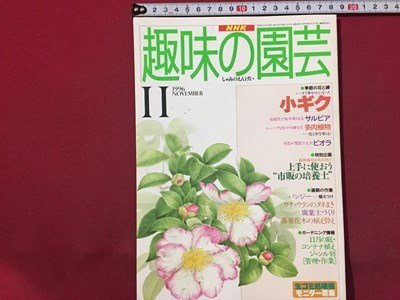 ｓ◆　1996年　NHK 趣味の園芸 11月号　小キク　多肉植物 他　日本放送出版局　書籍のみ　書籍　雑誌　/M99_画像1