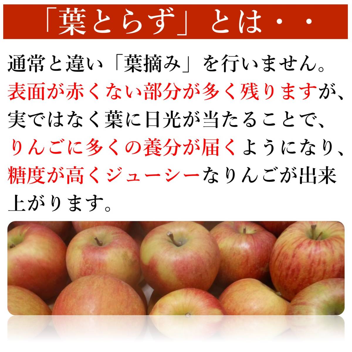 【1円開始】青森県産 訳あり家庭用 葉とらずサンふじ(ふじりんご) 20kg【11/4(土)20:00台終了】20キロ_画像7