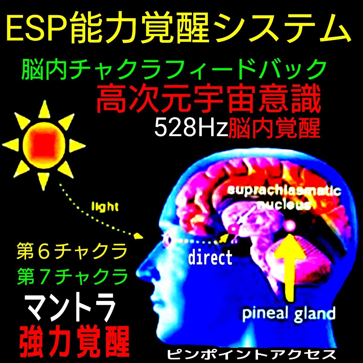 〓前世記憶の再生と高次元宇宙意識への接続〓☆世界中の能力者が古来