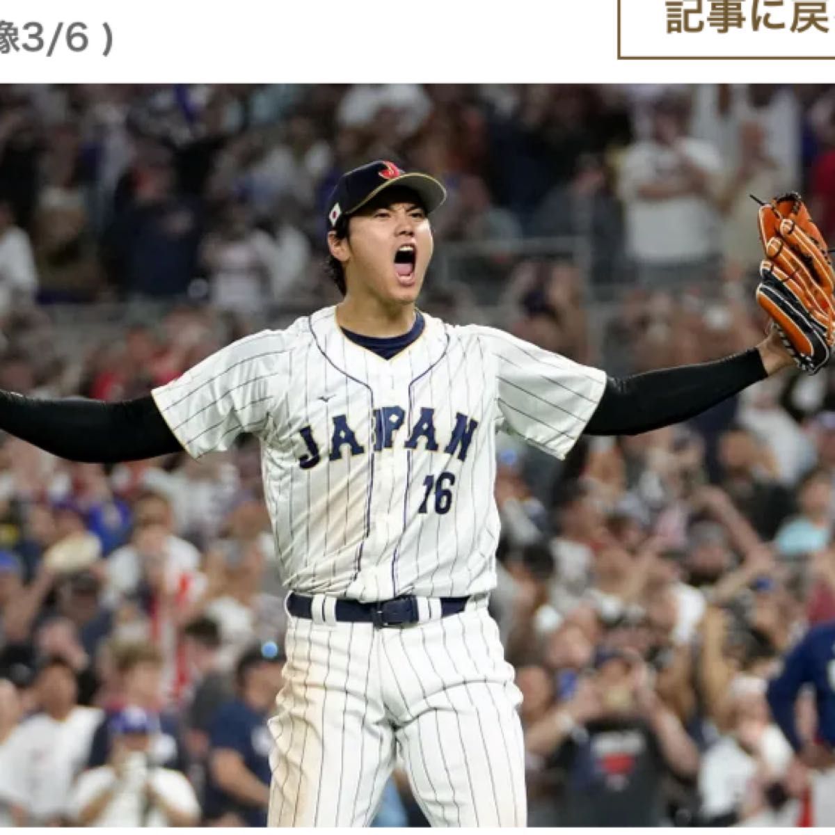 数量限定 受注生産】2023 WBC 大谷翔平 レプリカユニフォーム (ホーム