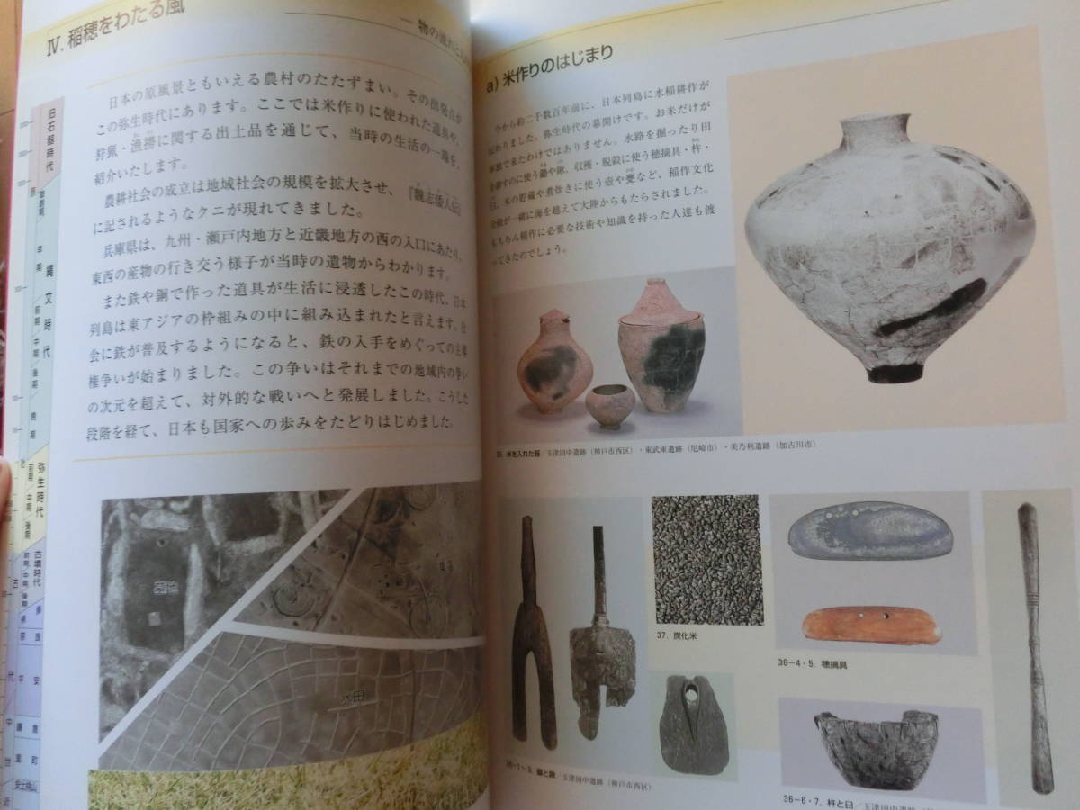  Hyogo prefecture history museum special exhibition llustrated book No.40 three ten thousand year. . llustrated book 