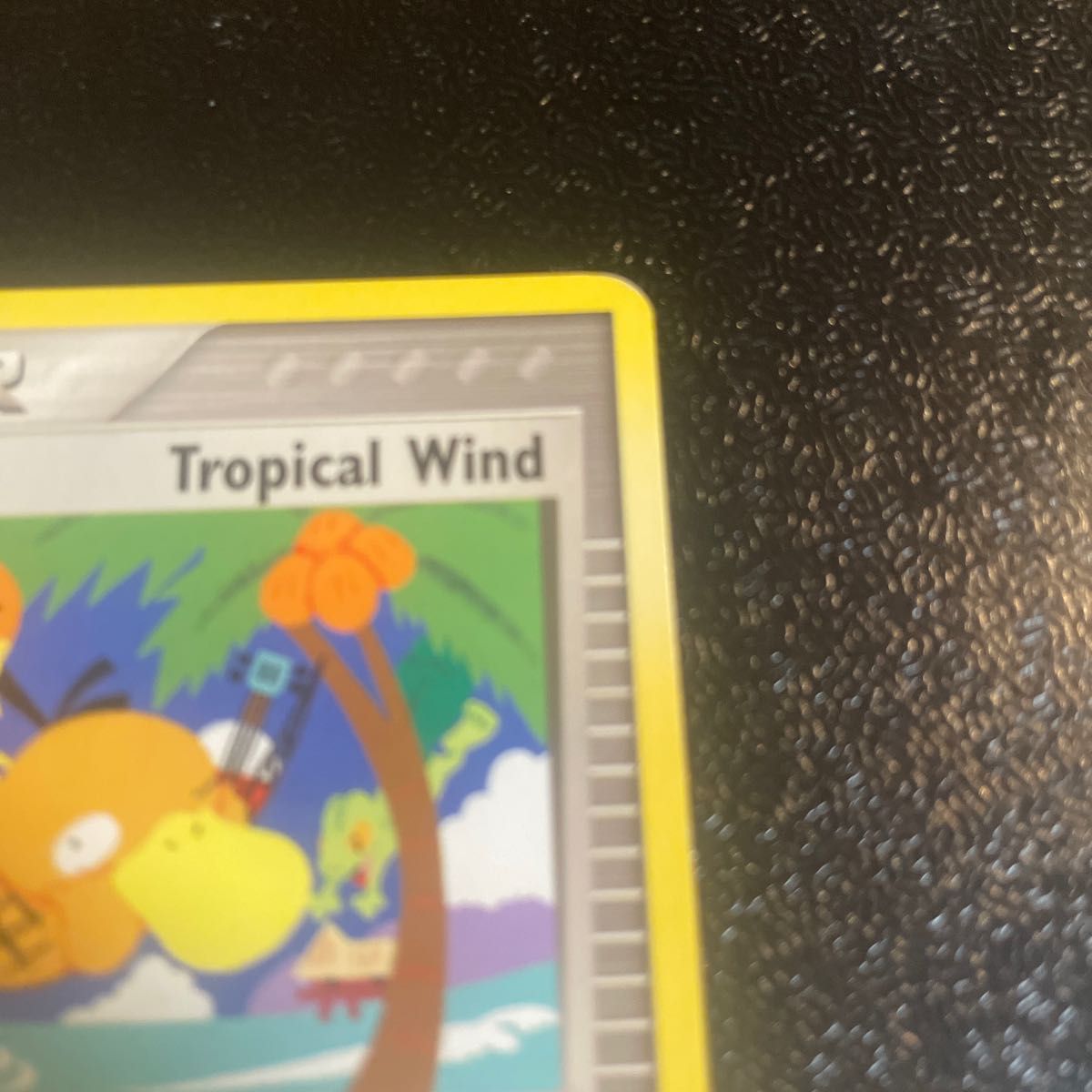 tropical wind 世界大会参加賞