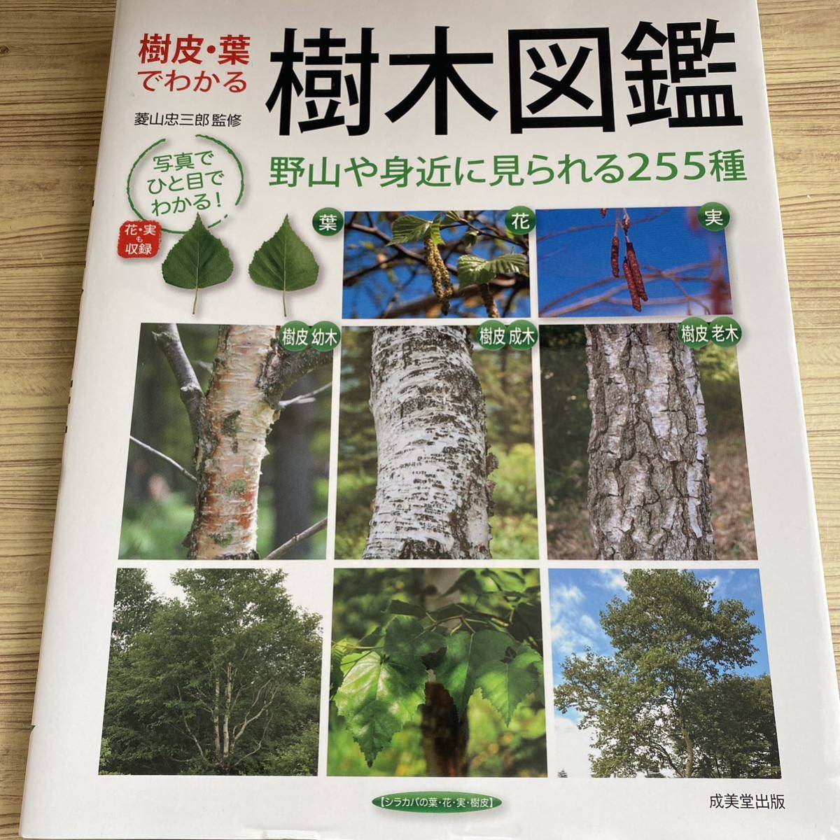 樹皮・葉でわかる樹木図鑑 野山や身近に見られる255種 菱山忠 樹皮・葉でわかる樹木図鑑 野山や身近に見られる255種 菱山忠