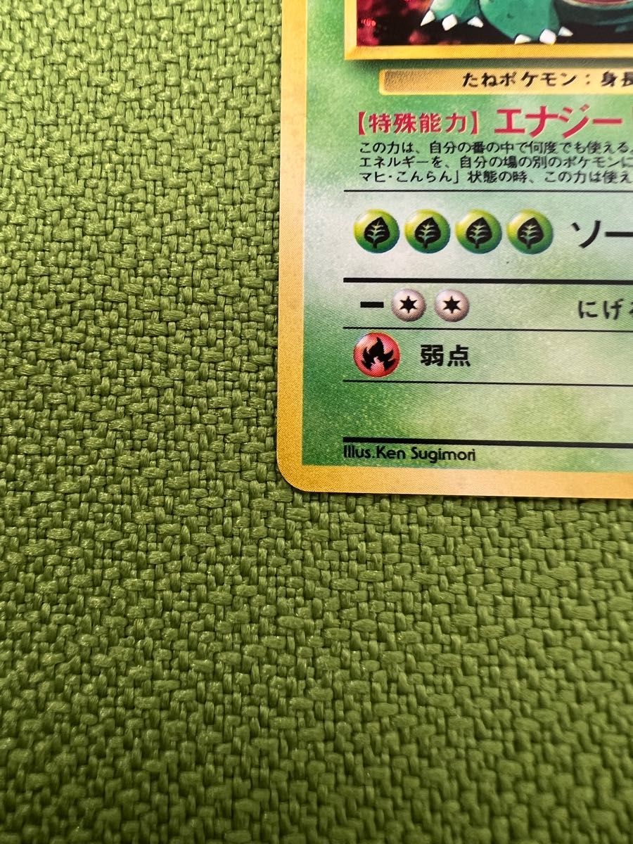 ポケモンカード フシギバナ イントロパック 旧裏 LV67|Yahoo ポケモンカード フシギバナ イントロパック 旧裏 LV67|Yahoo