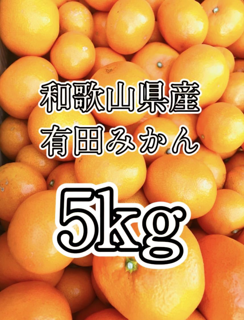 ☆52 格安 和歌山県産 有田みかん 5kg 即日発送 産地直送 Sサイズ 早生みかん 甘い 美味しい 小粒 みかん 早生_画像1