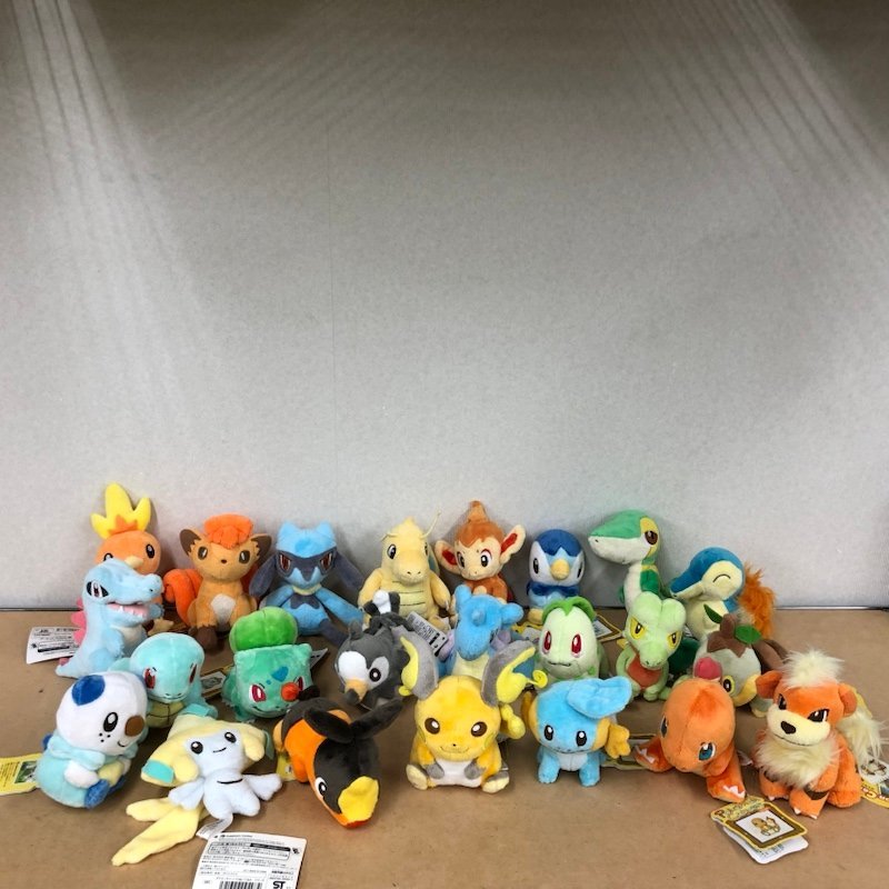 大特価 ポケモンキャンバス ポケモンセンター ぬいぐるみ ポケモン 23