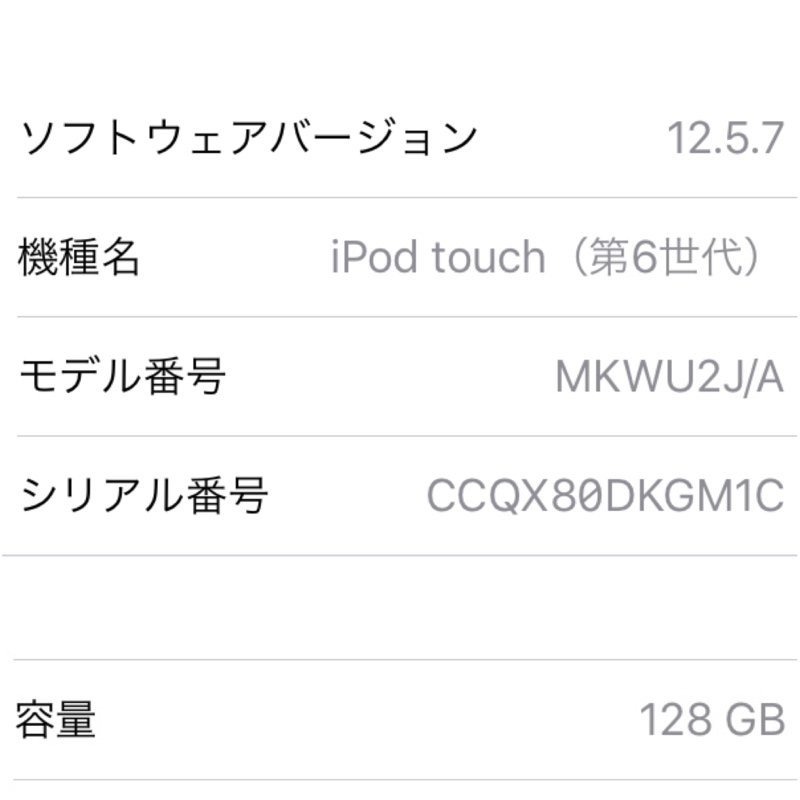 ジャンク Apple iPod touch 第6世代 128GB A1574 MKWU2J/A スペースグレイ 231021AG120009_画像4