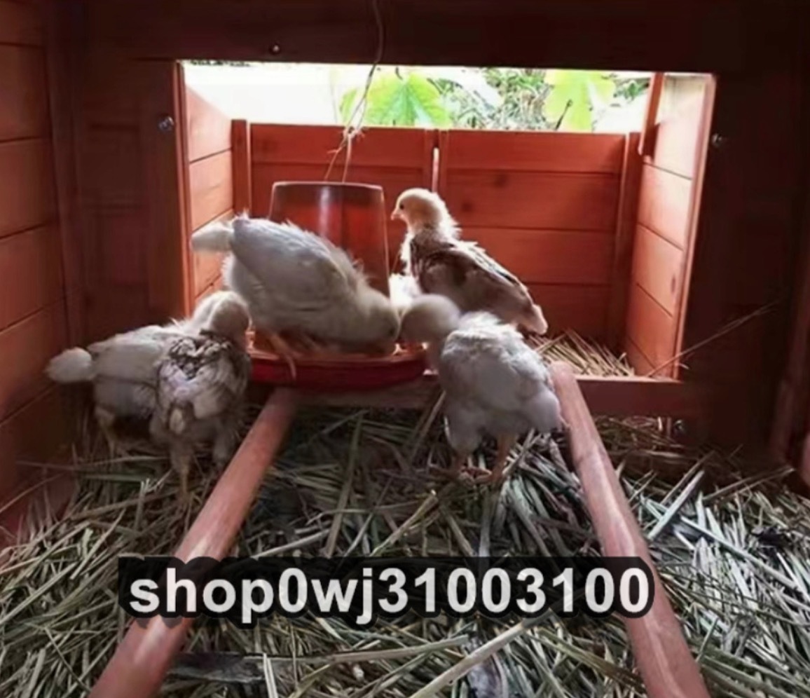  natural tree made breeding gauge small animals outdoors breeding cage .... bird cage ... small shop chicken small shop race dove . chicken 