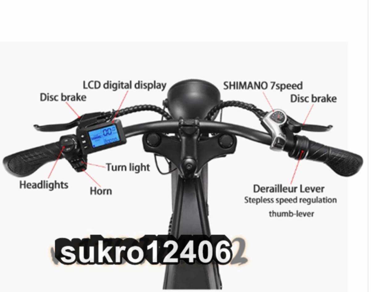  for adult electromotive bicycle,7 Shimano speed wide wheel attaching 1000W,48V,15ah capacity. lithium battery,