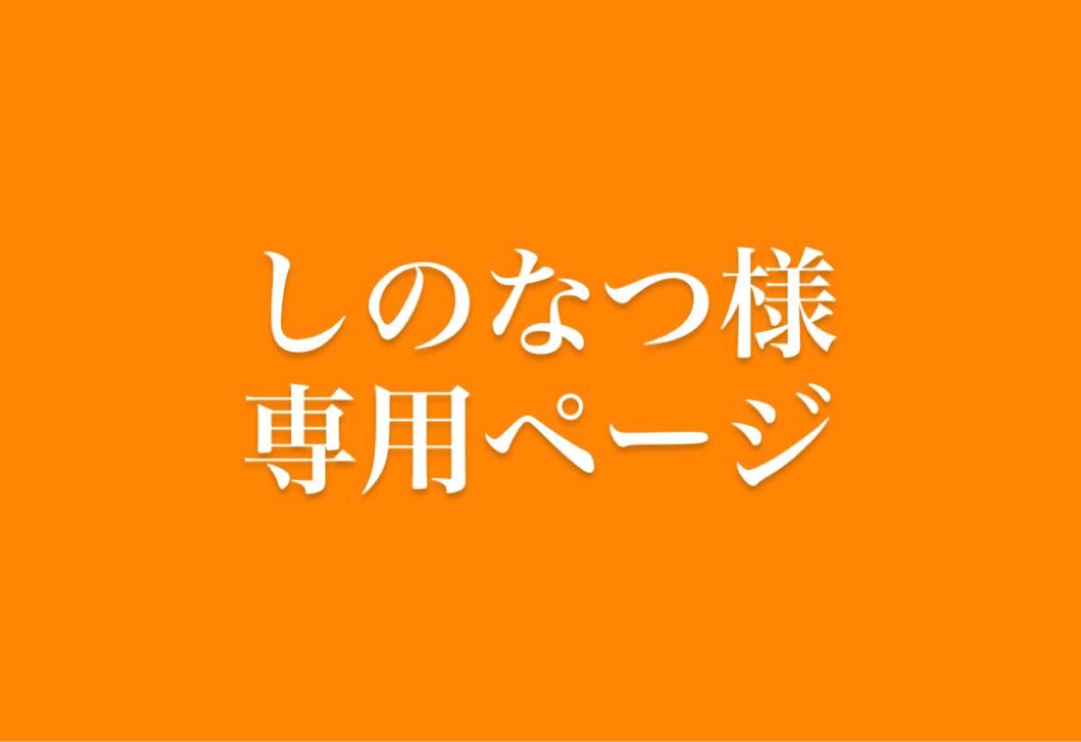 しのなつ様 専用ページ｜Yahoo!フリマ（旧PayPayフリマ）