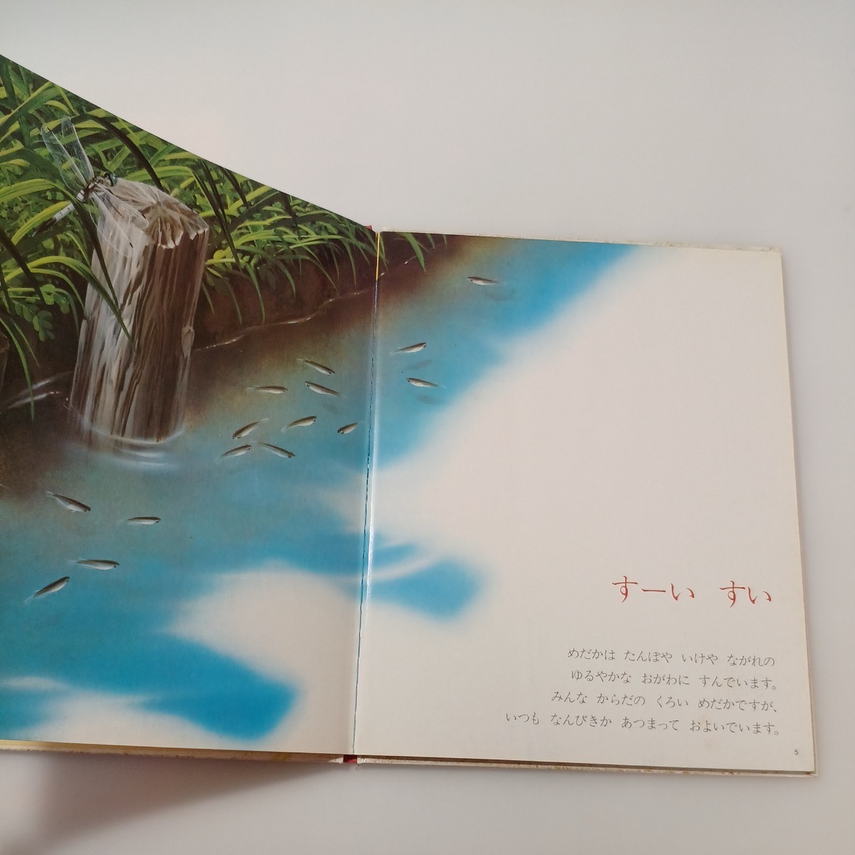 zaa-518♪キンダーブック３　しぜん【めだか】大澤一爽(指導)　大下亮(絵)　1983年 フレーベル館 　