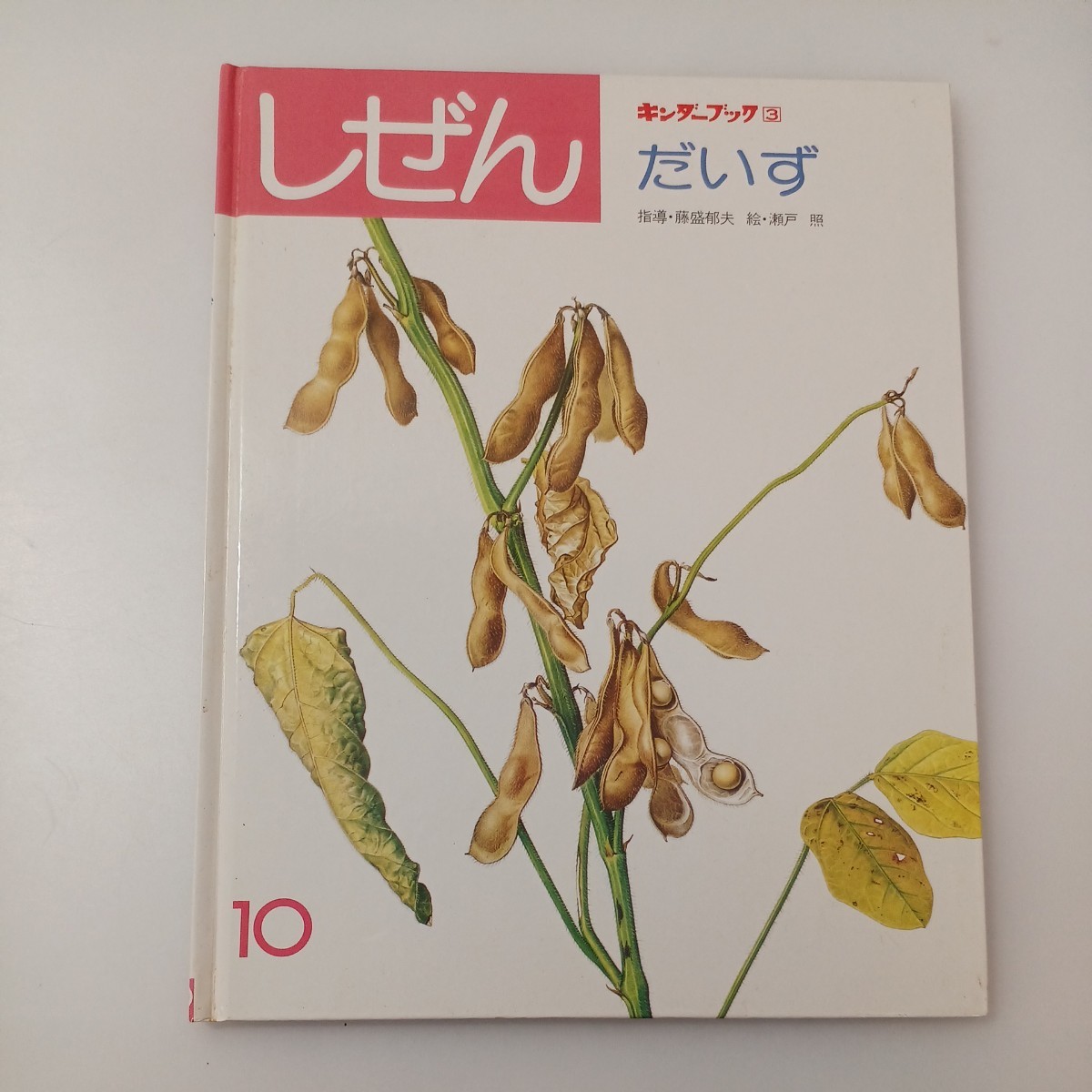 zaa-518♪キンダーブック３　しぜん【だいず】藤盛郁夫(指導)　瀬戸照(絵)　1983年 フレーベル館 　