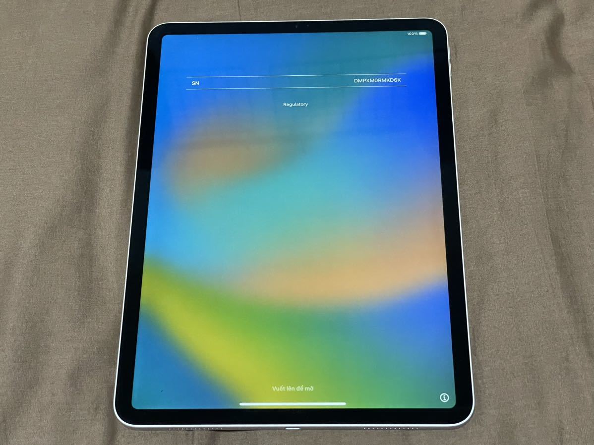 メーカー直売】 Pro iPad Apple 中古デモ機 11インチ OS16.6.1 3E149J