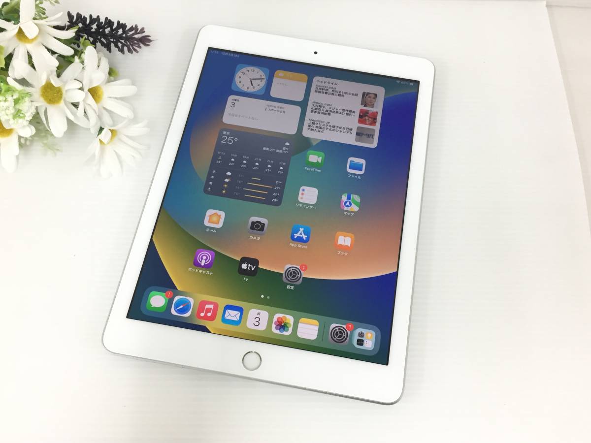 期間限定特別価格 Wi-Fiモデル 第5世代 iPad 〇Apple 32GB 動作品