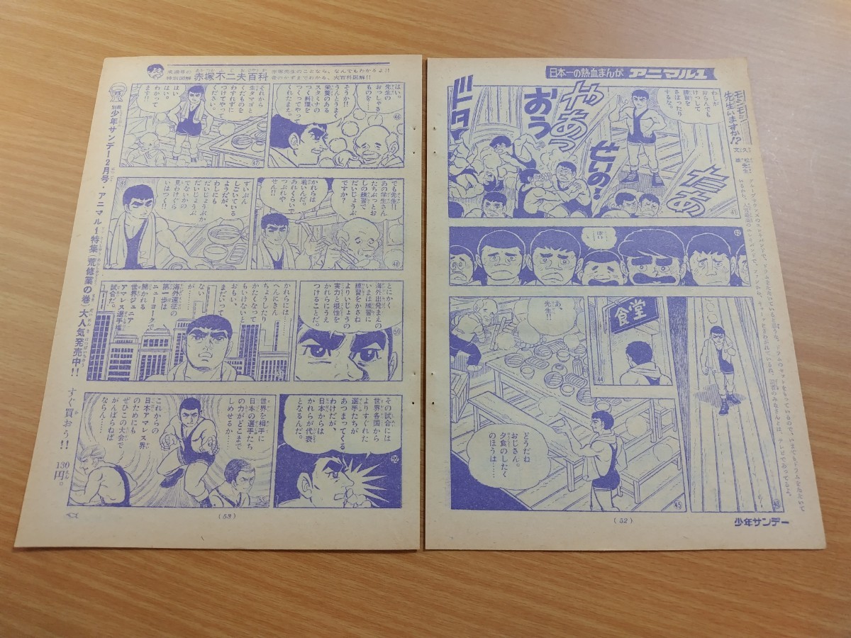 切抜き/アニマル1 川崎のぼる/少年サンデー1968年8号掲載_画像5