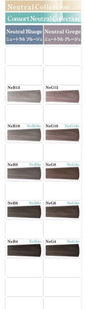 NeB8 fashion color set long hair color neutral b rouge blue beige gray hair color . stylish dyeing 