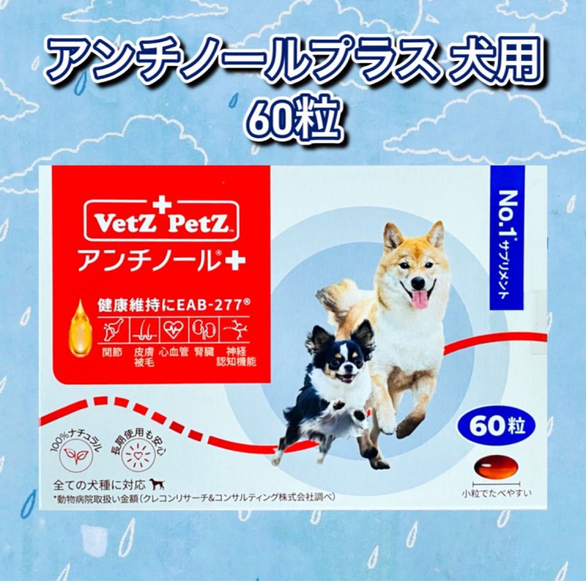 Vetz Petz アンチノール プラス 犬用 60粒×1箱