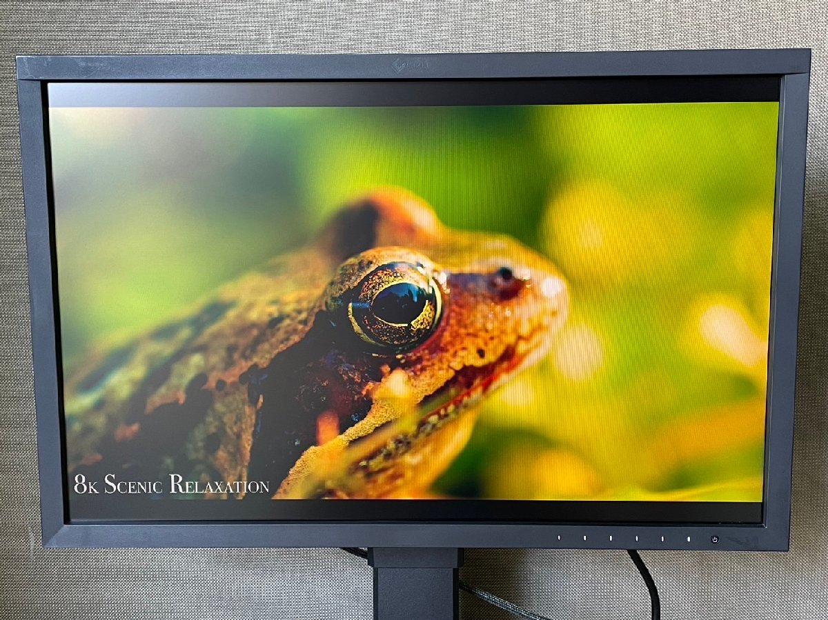 超歓迎】 CS2420 ColorEdge 24.1インチワイド液晶モニタ EIZO IPS 7245