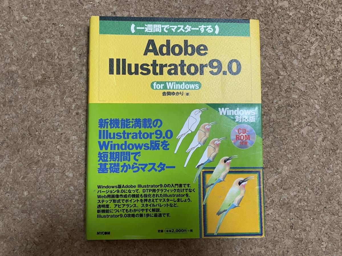 一週間でマスターするAdobe IIlustrator9.0 イラストレーター9.0 for Windows　CD-ROM付_画像1