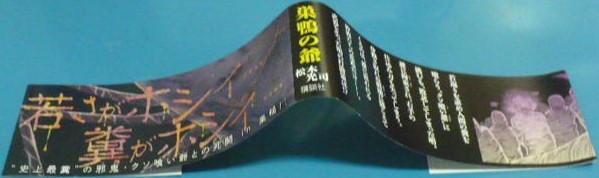 ※彼岸島 48日後…20巻初版帯のみ　松本光司　講談社　ヤングマガジンコミックス_画像1