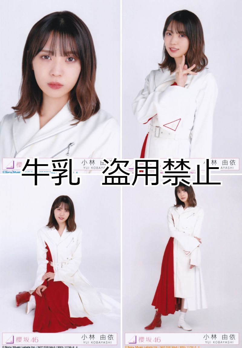 小林由依 生写真 コンプ 櫻坂46 BAN_画像1