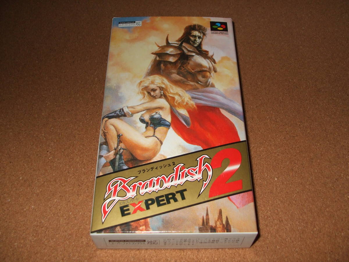 新品 スーパーファミコン レアソフト ブランディッシュ２ エキスパート（Brandish2 EXPERT）SFC_画像1