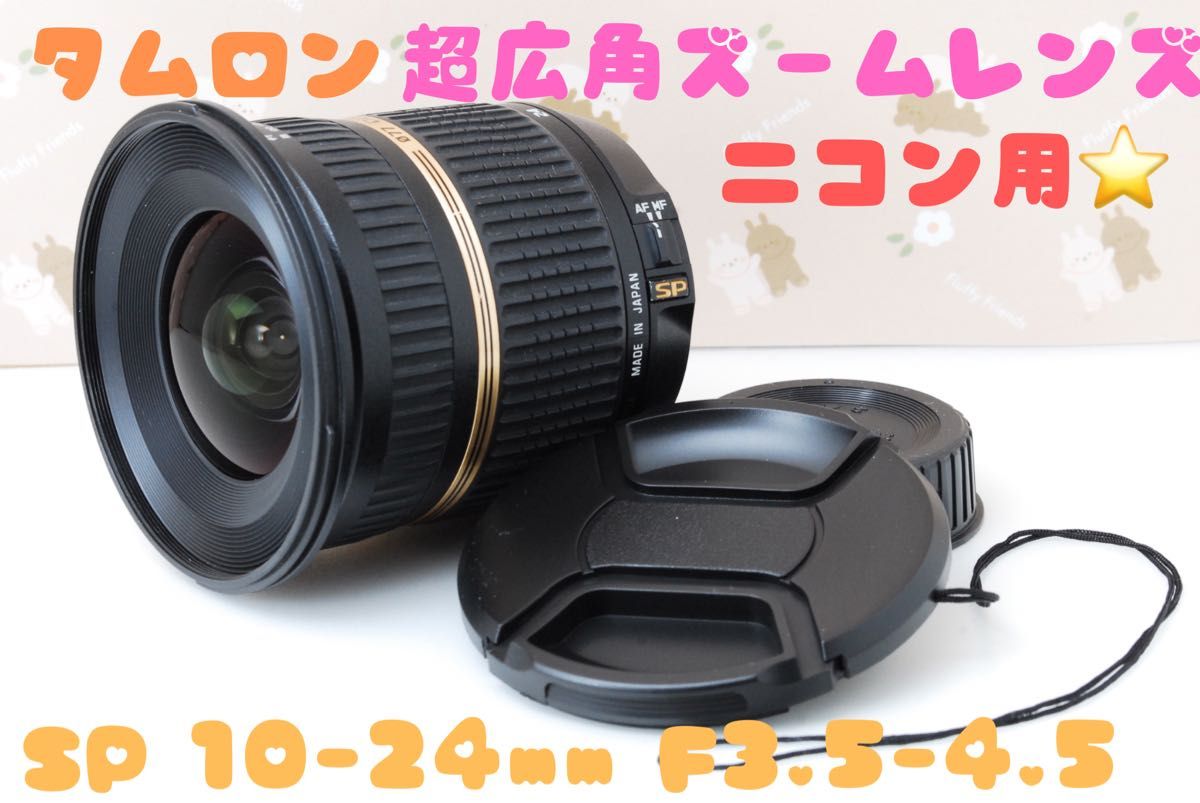 超広角ズームレンズ タムロン SP10-24mm f3 5-4 5 Nikon用 風景写真や