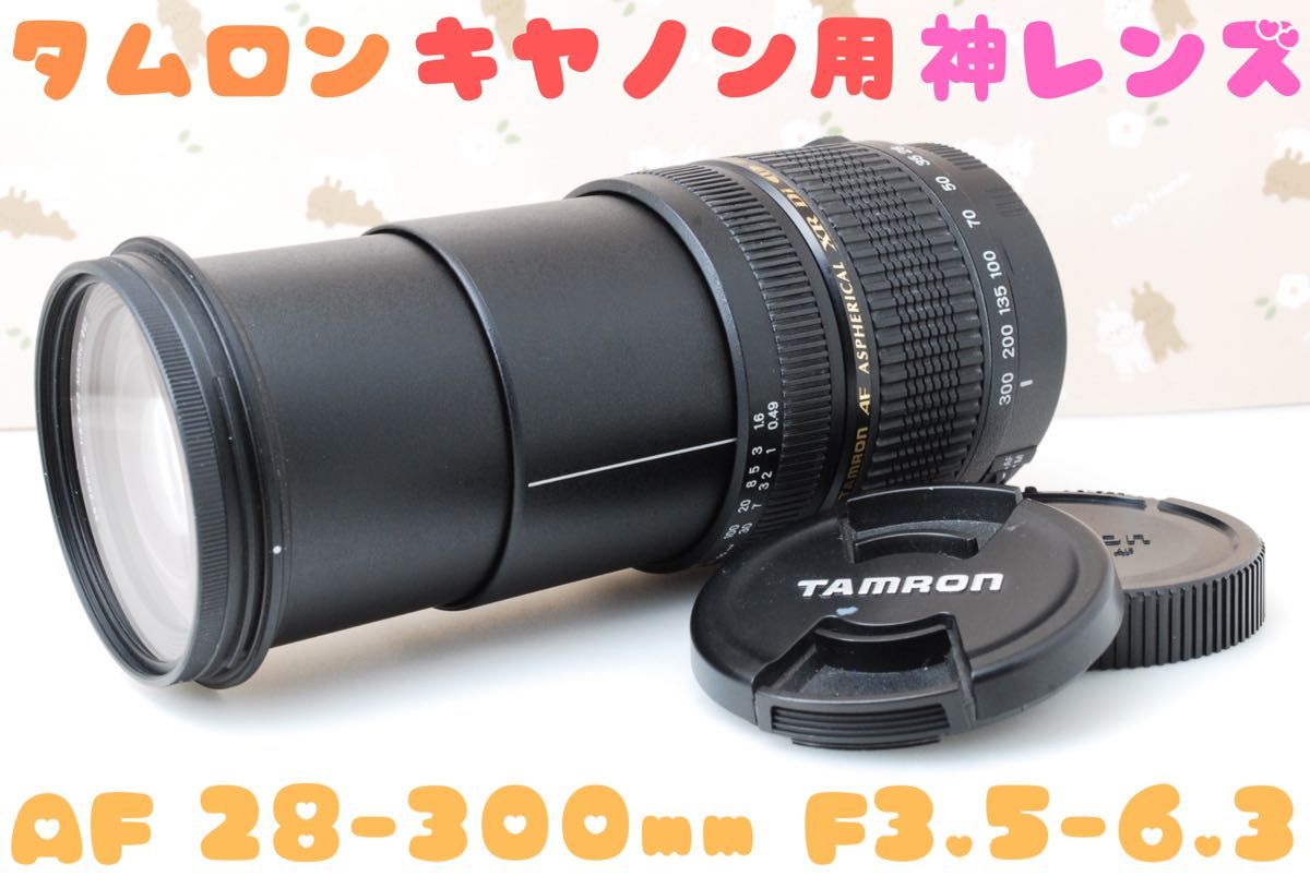 TAMRON 28-300mm PENTAX用 標準+望遠レンズ 美品！ - レンズ(ズーム)
