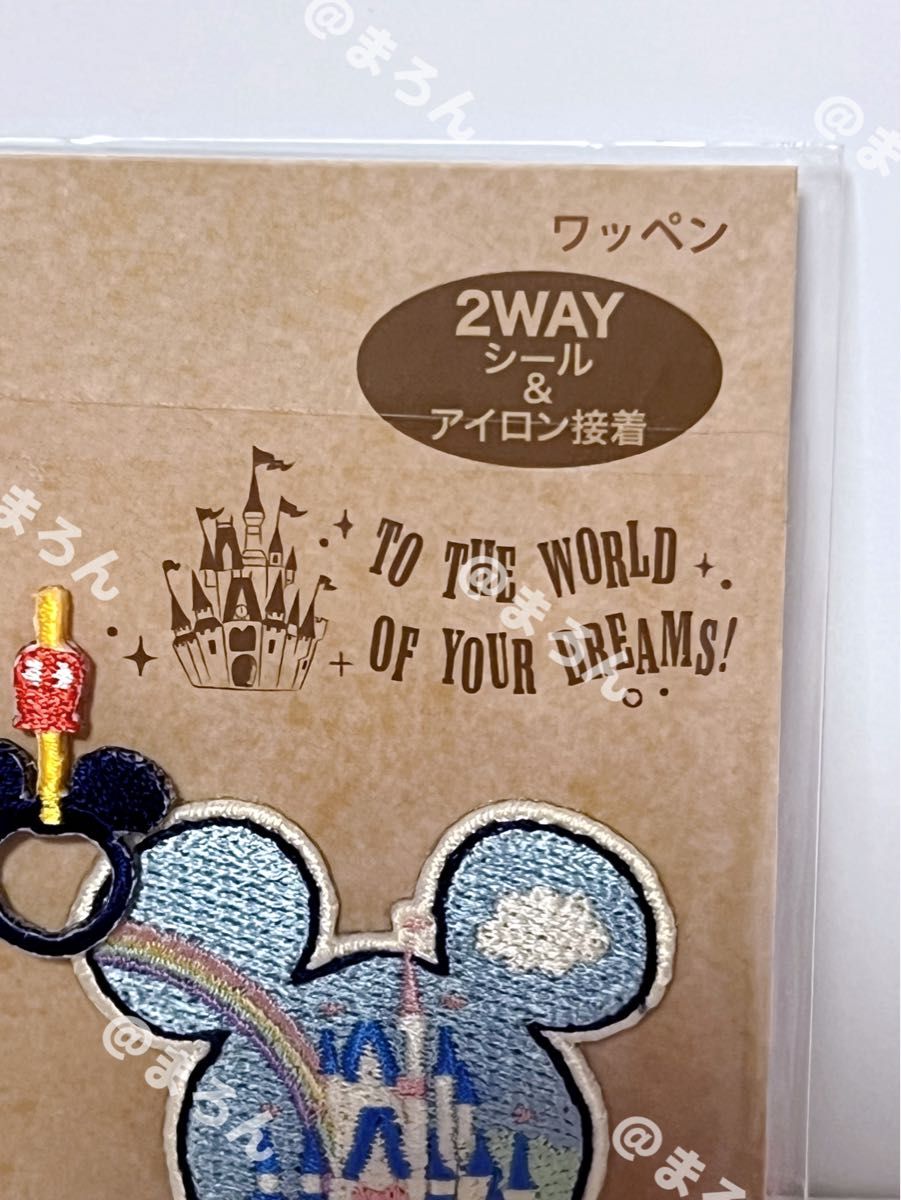 アイロンプリント シール ワッペン リゾートライン 窓 つり革 ディズニー アイロンプリント シール ワッペン リゾートライン 窓 つり革 ディズニー