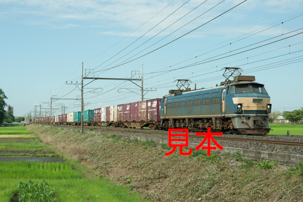 鉄道写真データ（JPEG）、00495371、EF66-36＋貨物、JR東北本線、東大宮〜蓮田、2015.07.15、（7360×4912）_画像1