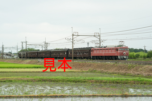 鉄道写真データ（JPEG）、00495483、宇都宮線開業130周年記念号、EF81-81＋旧客、JR東北本線、東大宮〜蓮田、2015.07.18、（7360×4912）_画像1