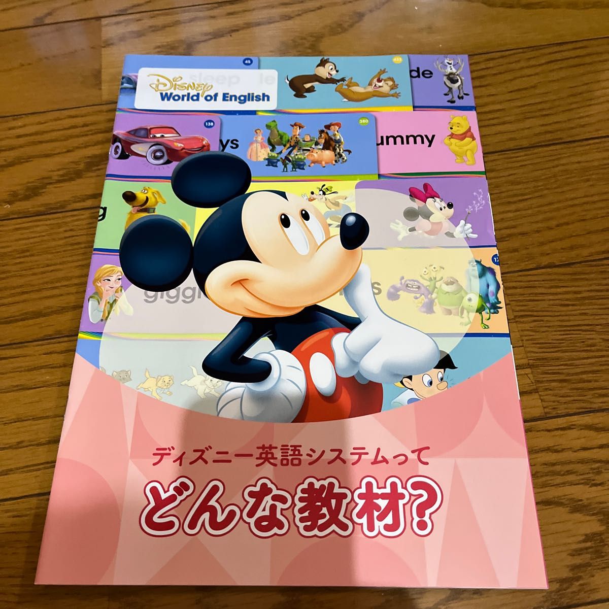 ディズニー　ワールド　オブ　イングリッシュ　Disney World of English サンプルブック　サンプルCD.DVD