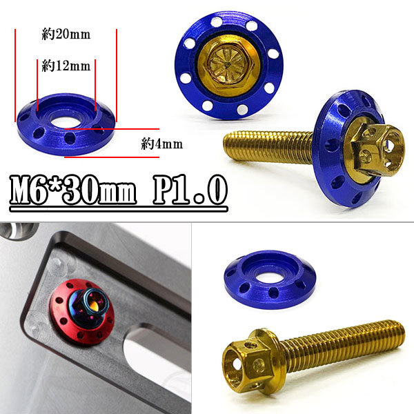 フランジ付六角ボルト M6*30mm P1.0 カラーワッシャー付 フジツボ 座面枠付 20mm 外装 汎用 車 バイク ゴールド×ブルー_画像1