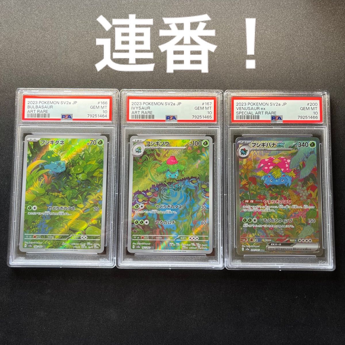 【連番！】フシギダネ AR PSA10 フシギソウ AR PSA10 フシギバナ SAR PSA10 ポケモンカード