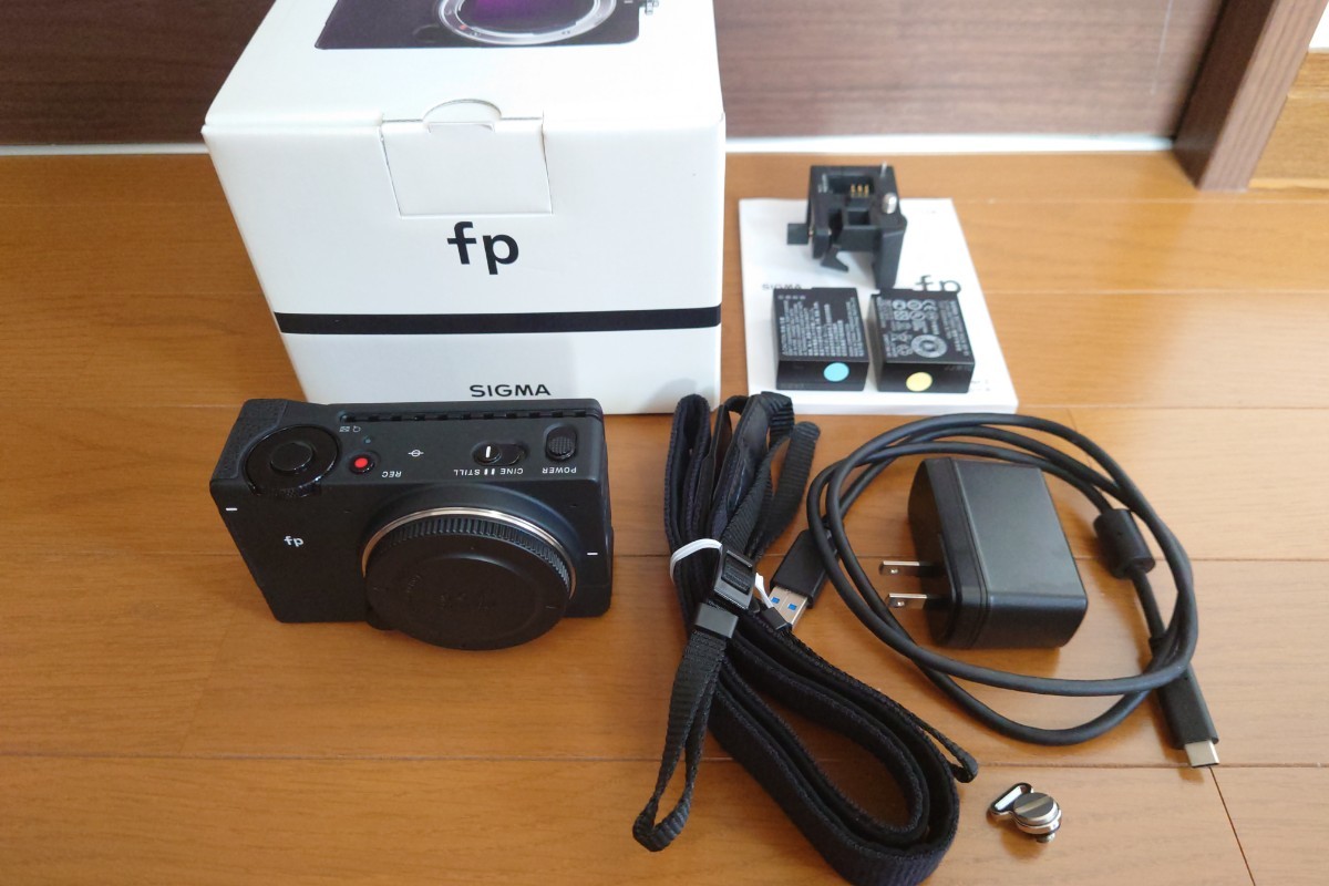 値引きする 極美品☆SIGMA fp☆バッテリー2個付☆元箱☆ その他