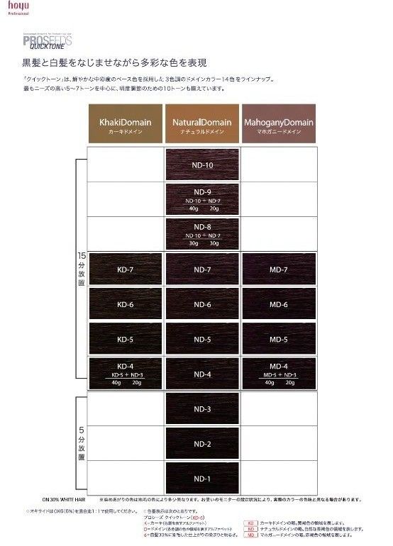 【4個セット】ホーユー プロフェッショナル プロシーズ クイックトーン  ナチュラルドメインND10