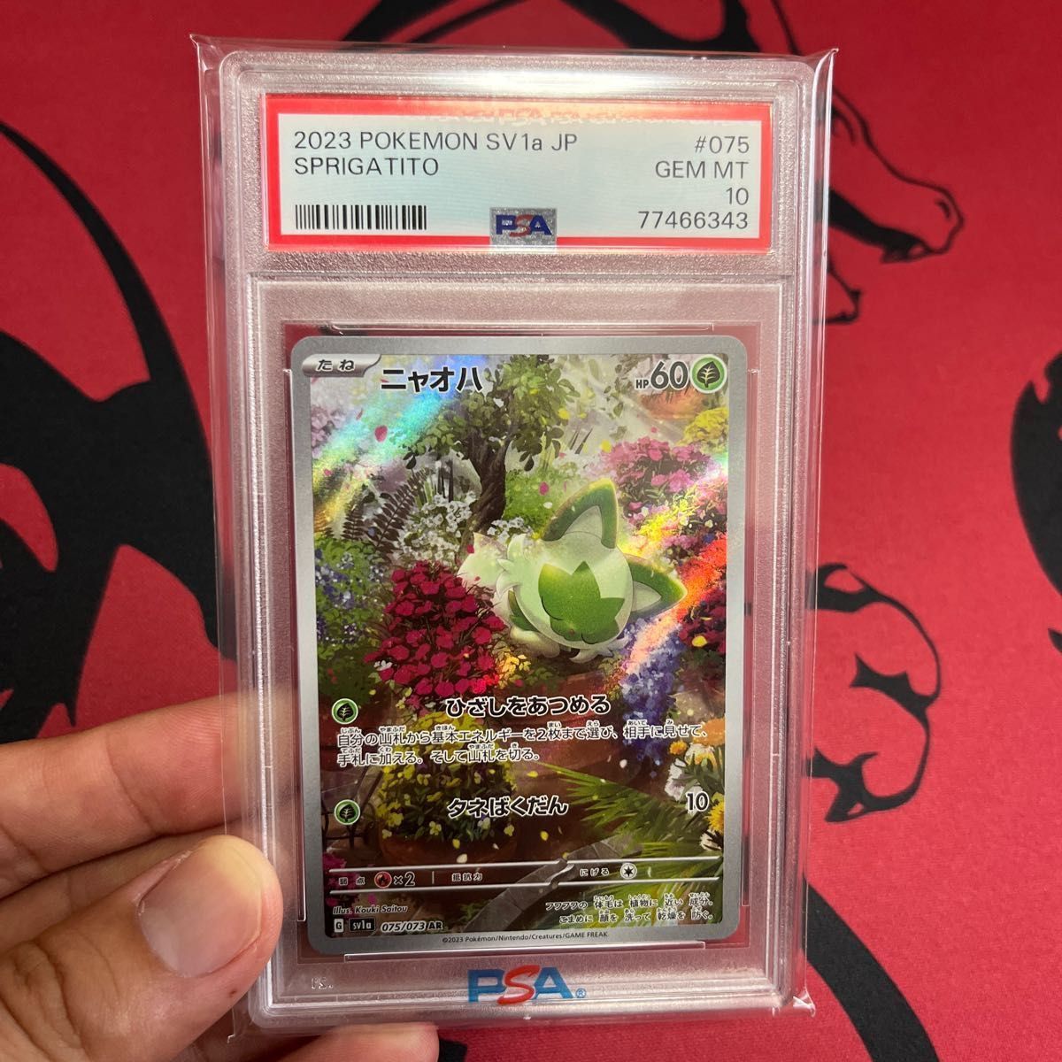 ポケモンカード　psa10 ニャオハ