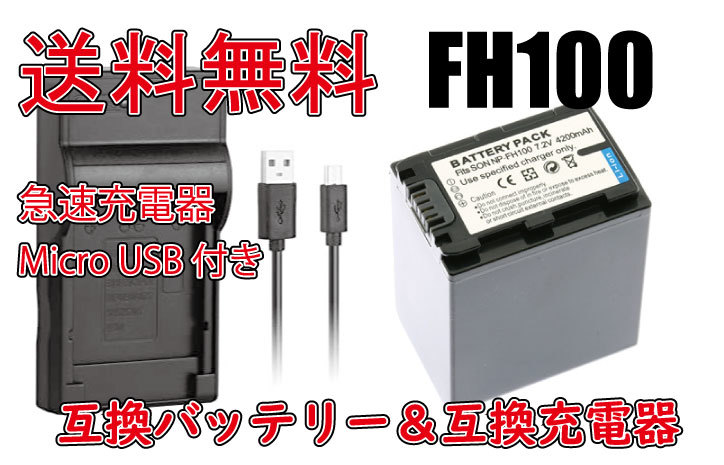 【送料無料】バッテリー＆充電器 SONY ソニー 急速充電器 NP-FH100 Micro USB付き AC充電対応 シガライター充電対応 互換品_画像1