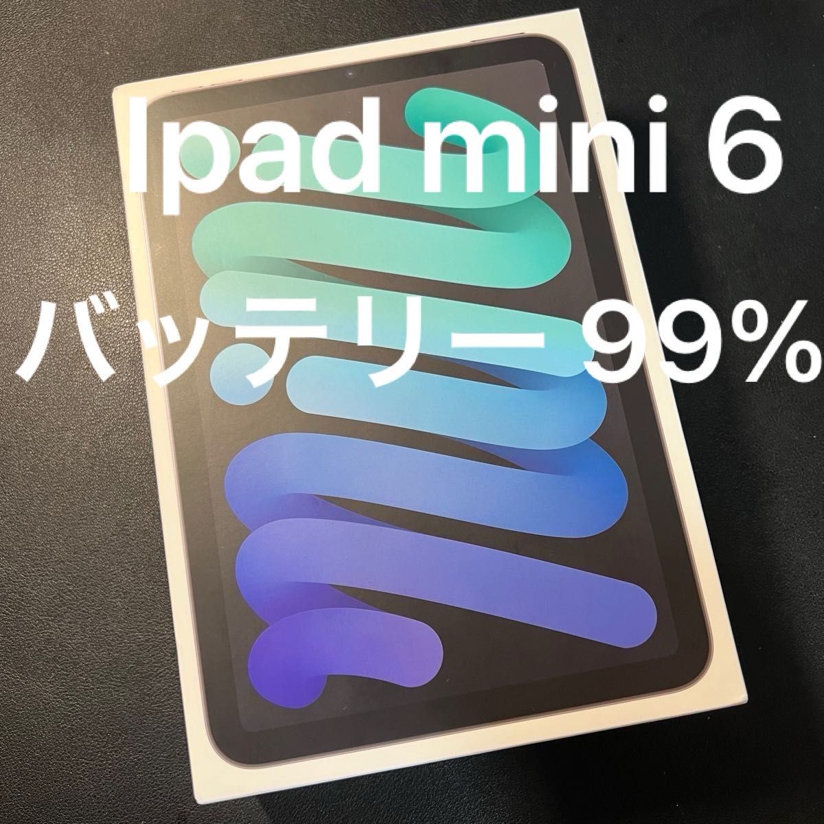 iPad mini（第6世代） Wi-Fi モデル ストレージ 64GB スペースグレイ