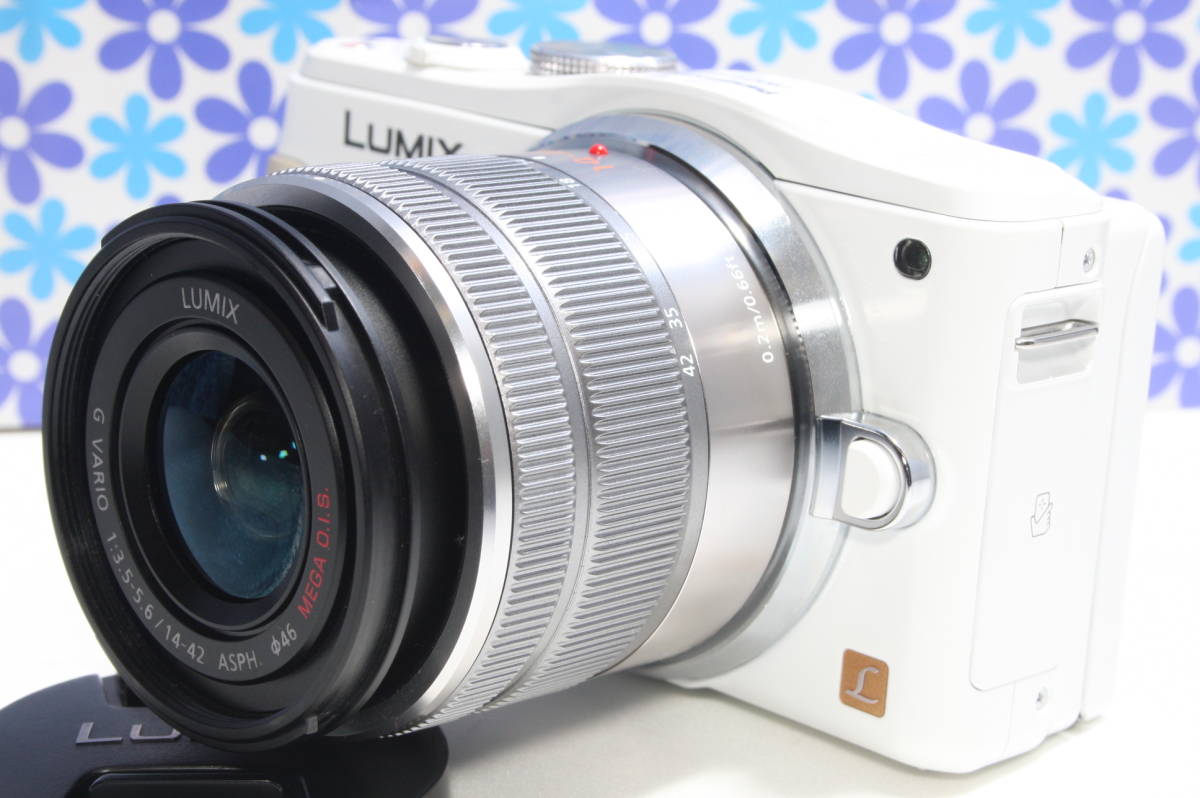 有名なブランド 14-140 Lumix Panasonic 訳アリ DMC-GH3 H-VS014140