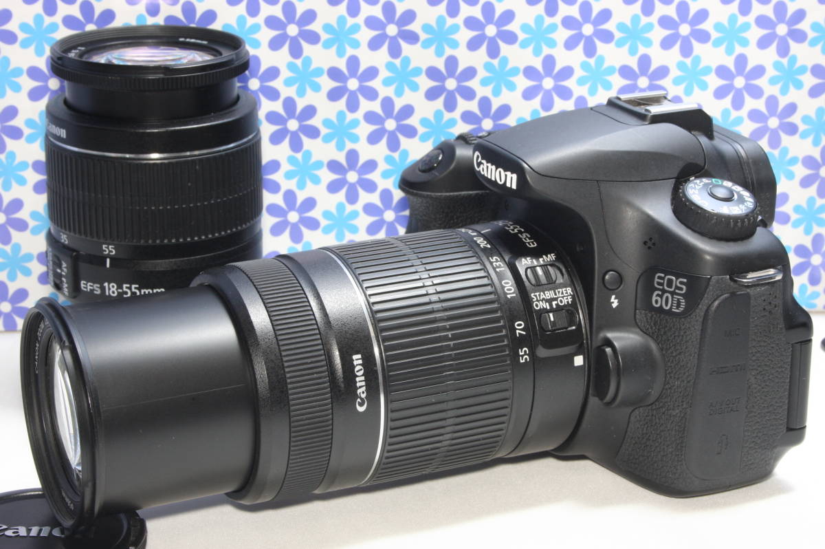 極上美品 Canon キャノン EOS 60D ダブルズームキット 高画質 動画撮影