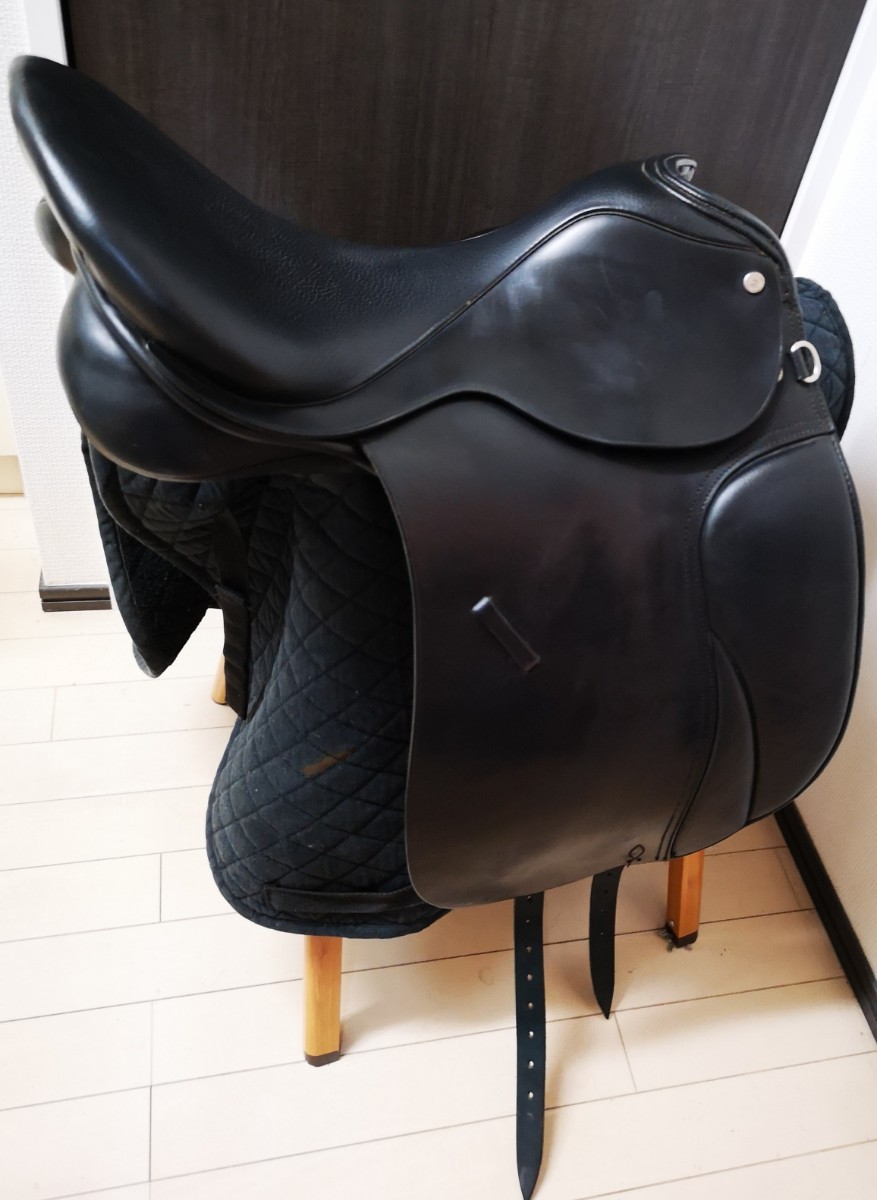  one point only beautiful goods!COLLEGIATE horse place saddle horse riding 