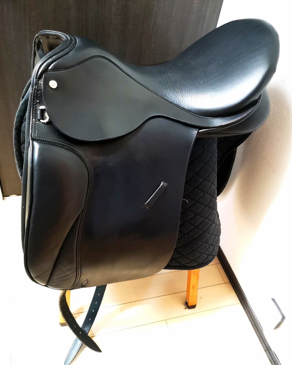  one point only beautiful goods!COLLEGIATE horse place saddle horse riding 