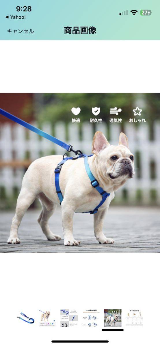 TailSweetie 犬 リード 小型犬 1.5M 高密度ナイロン Sサイズ_画像4