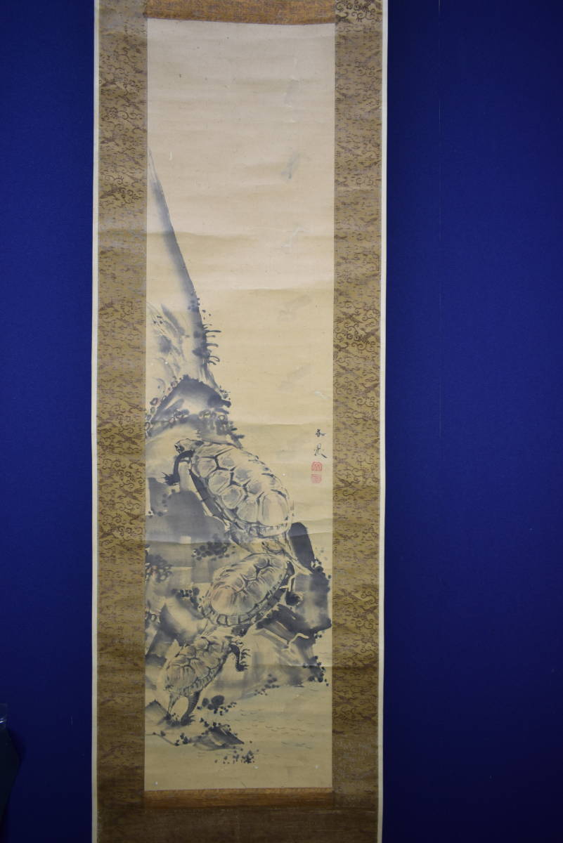 【予約販売】本 模写】/谷文晁/亀図/絹表装/布袋屋掛軸HF-612 日本画 絵画