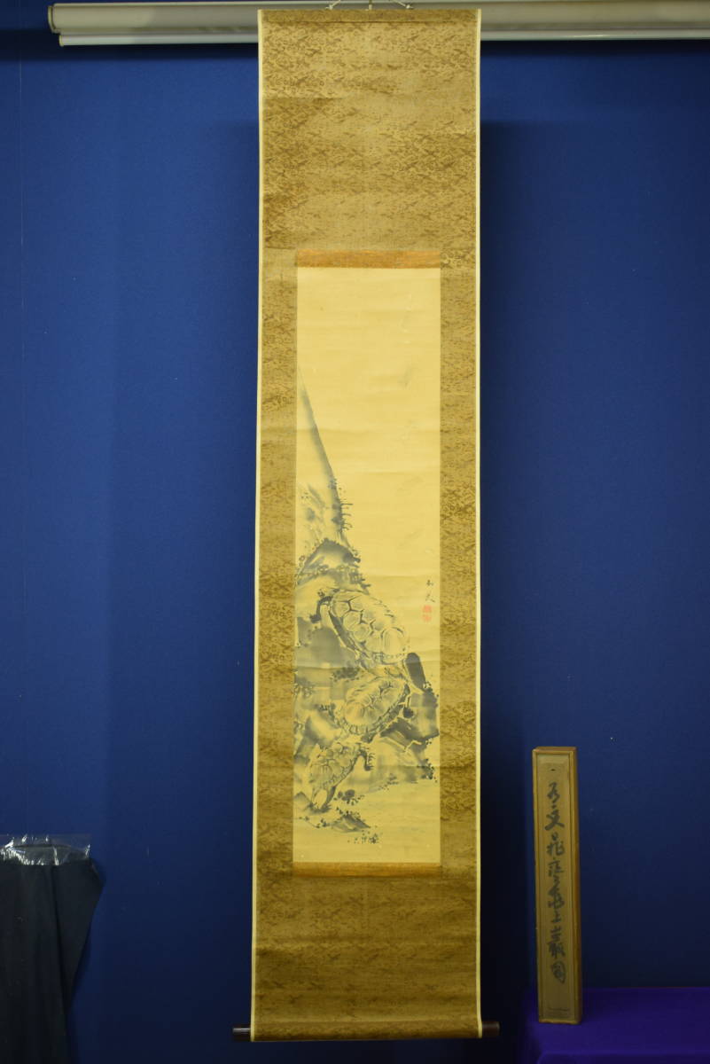 模写/谷文晁/亀図/絹表装/布袋屋掛軸HF-612 Yahoo!オークション - 【模写】/谷文晁/亀図/絹表装/布袋屋掛軸