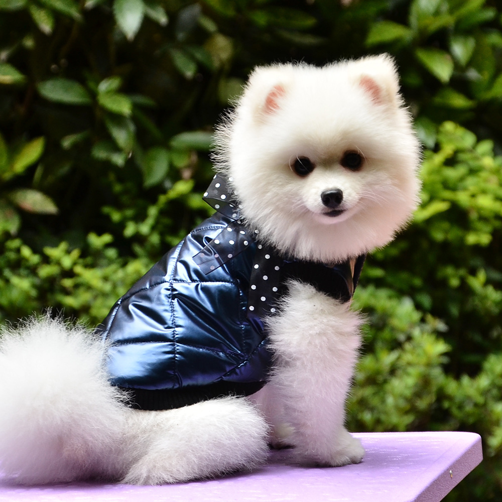 * темно-синий * L * для домашних животных защищающий от холода жакет весна осень-зима yspetsoo5297 пальто собака одежда домашнее животное одежда собака. одежда внешний жакет собака одежда 